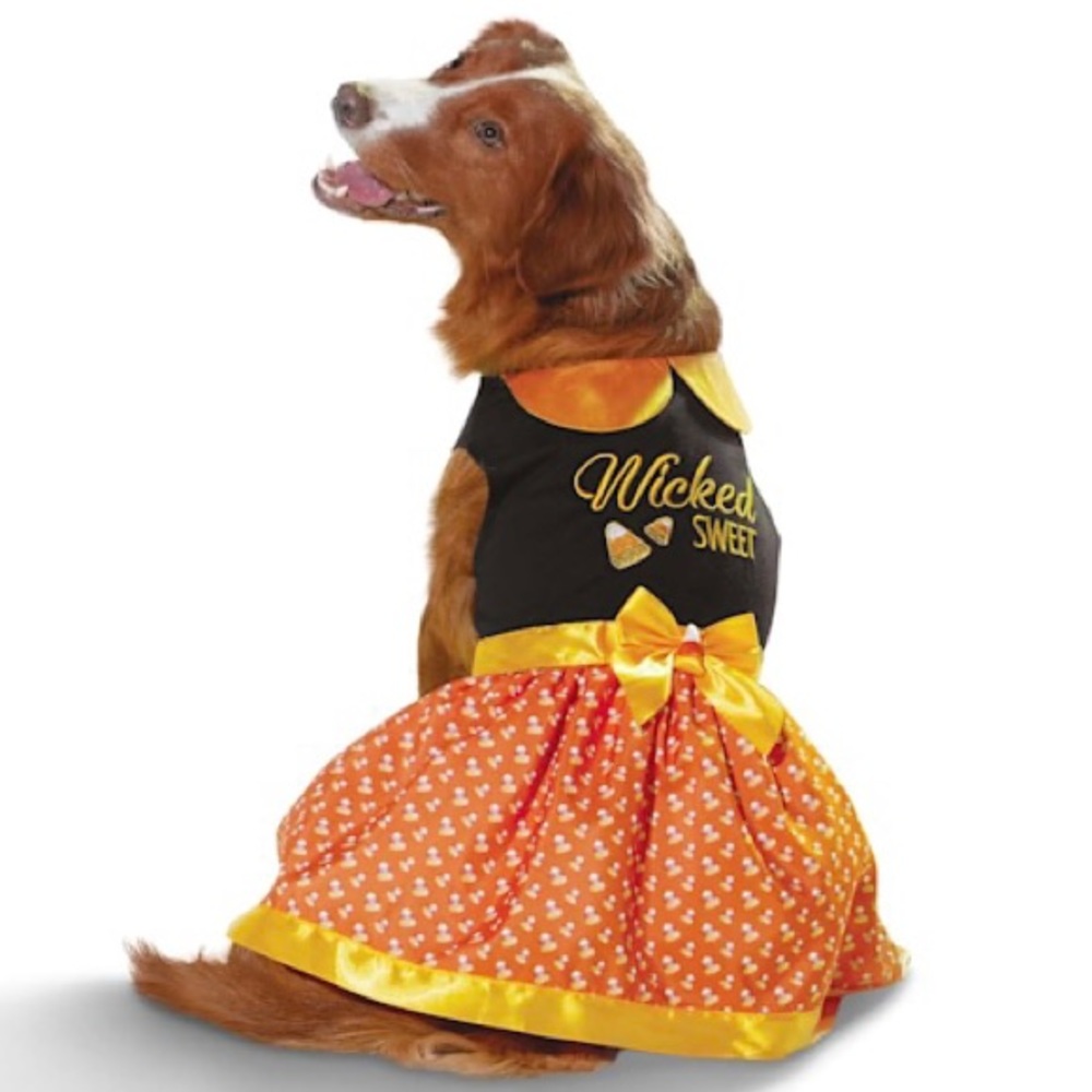 Bootique Wicked Sweet Halloween Dog Dress Candy Corn Costume Small NEW NWT